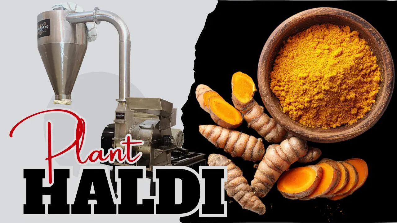 Turmeric Grinding Machine in Indore for Commercial Haldi Processing